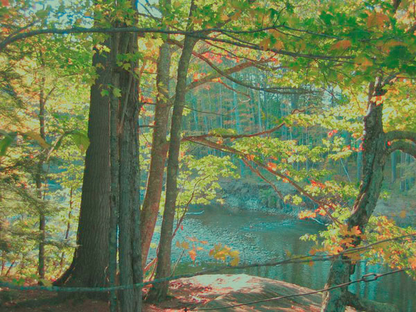 ps-mashup-autumn-monet