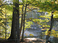 ps-mashup-autumn-org-200