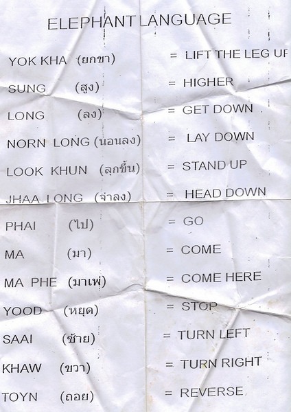 elephant-training-guide