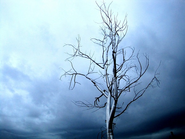metal-tree-sculpture-park