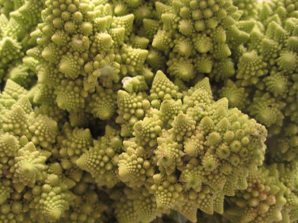 romanesco-broccoli-2