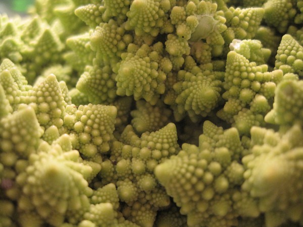 romanesco-broccoli