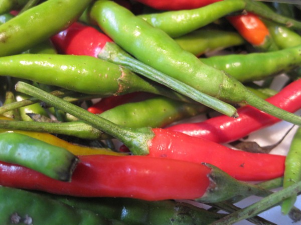 thai-peppers