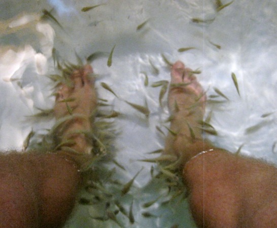fish-massage-2