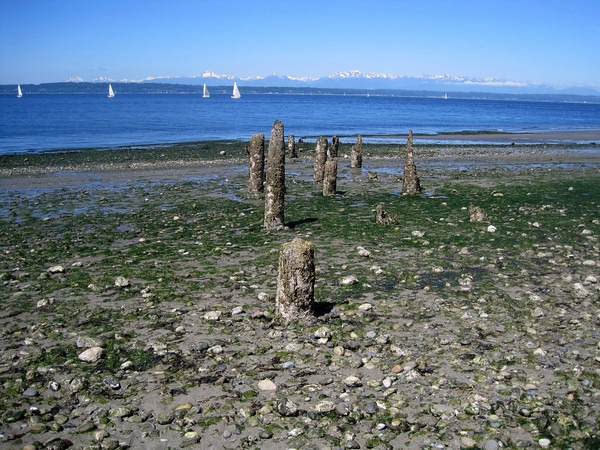 low-tide-4