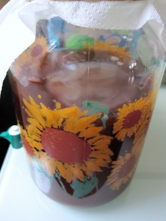 kombucha2