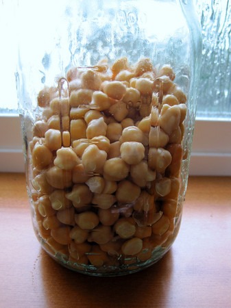 sprout-chickpeas