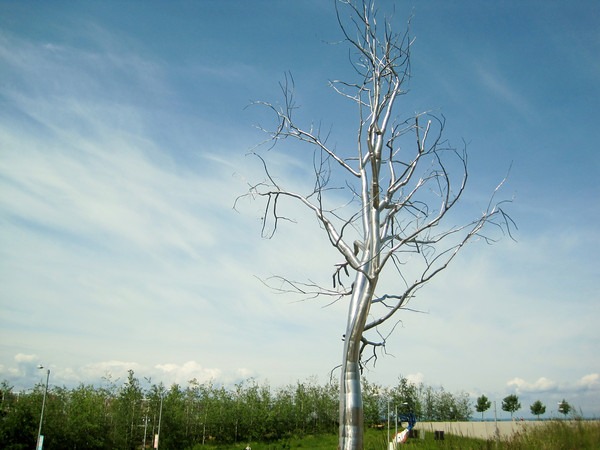 sculpture-park-tree