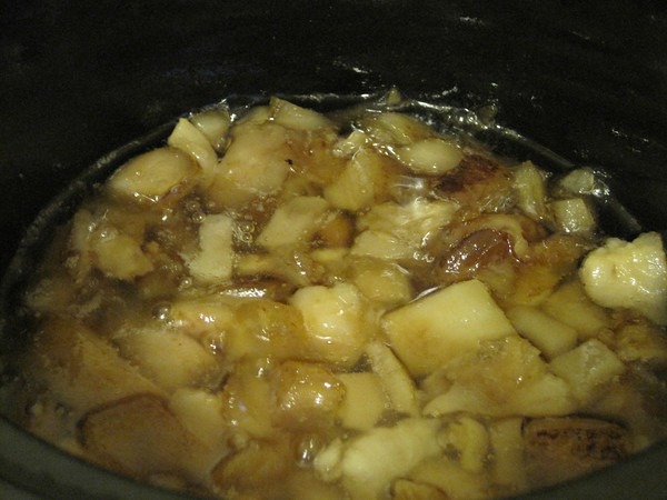 render-lard-crock-pot