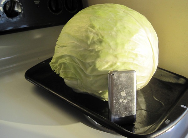 kraut-cabbage