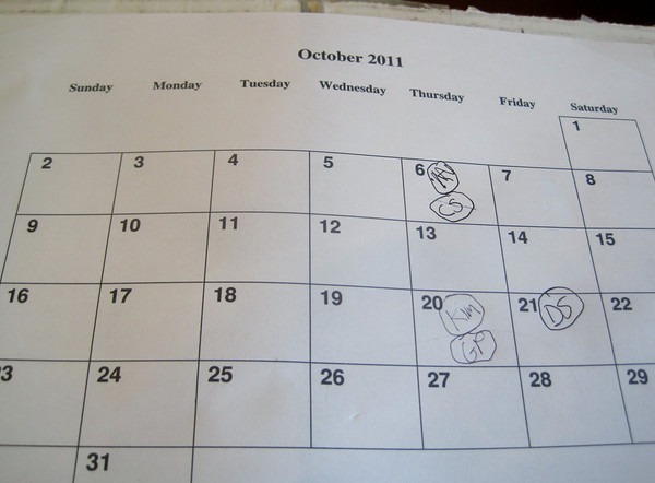 fermentation-calendar