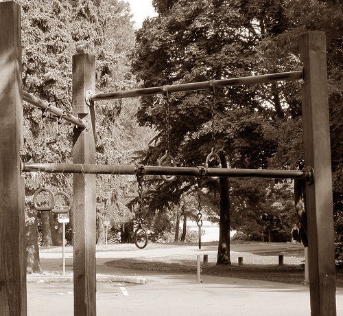 Green Lake Pull Up Rings