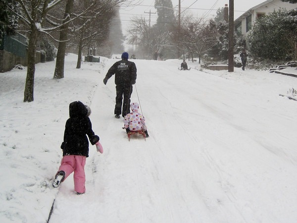 family sled