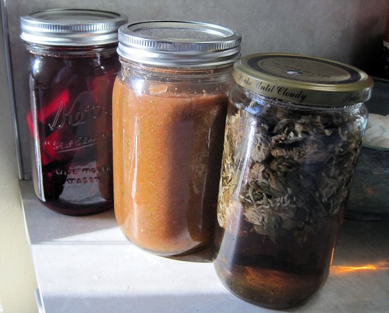 kvass-salsa-red-clover