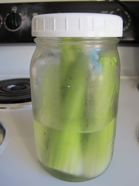 celery-water