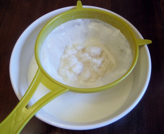 kefir-filter