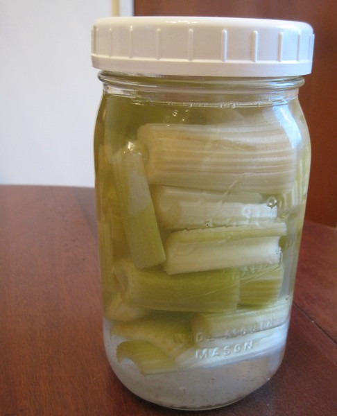 celery-ferment