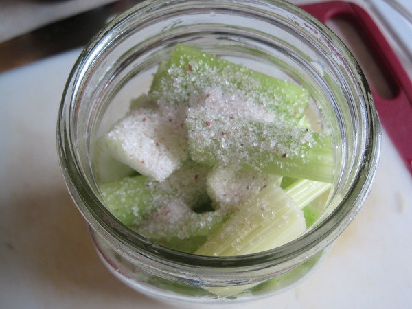 salt-celery