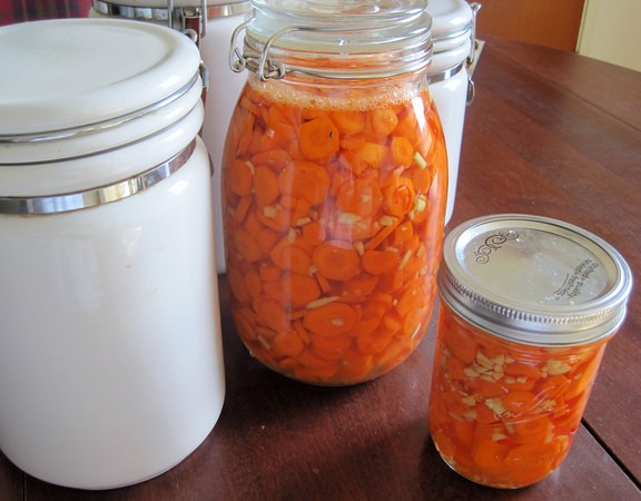 fermented-carrots