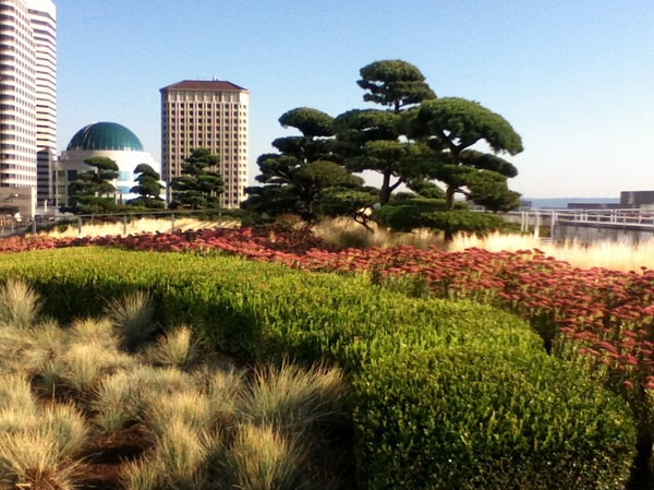 great-seattle-view-1