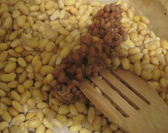 add-natto-culture