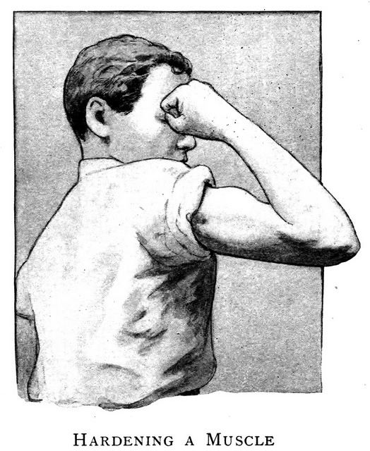 Hardening a Muscle