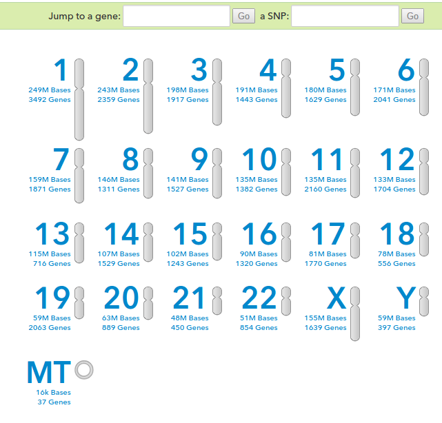 23andme-gene-explorer
