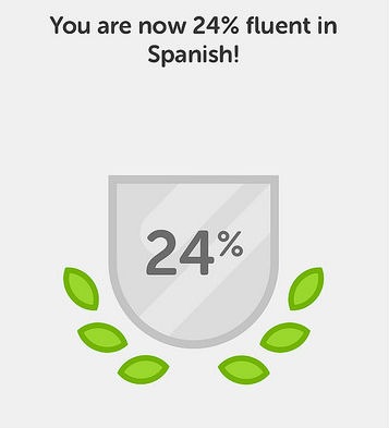 duolingo24