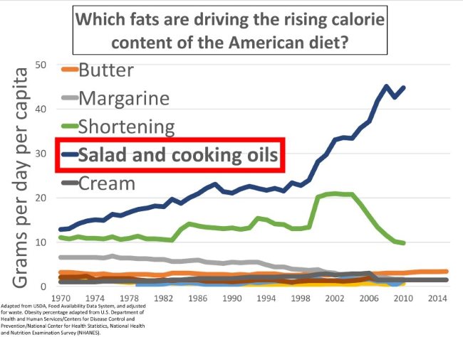 PUFA Obesity Oils