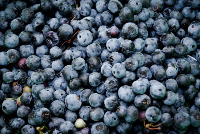 blueberries