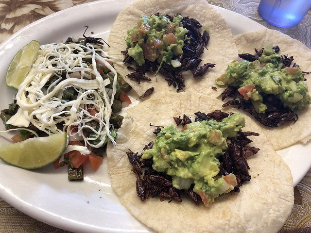 3 grasshopper tacos